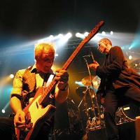 Dr Feelgood at Lemon Tree