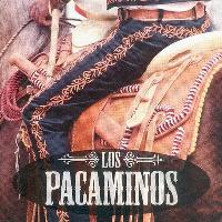 Paul Young's Los Pacaminos