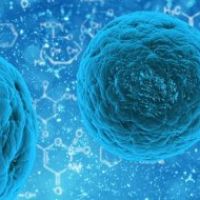 Super Cells at Centre For Life