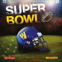 SUPER BOWL XLIX 2015 at Walkabout - Bournemouth