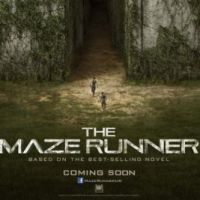 Movie Night - The Maze Runner at Picturedrome