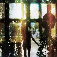 Idle Motion presents - Shooting With Light at The North Wall Arts Centre
