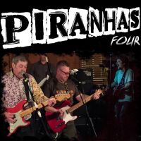 The Piranhas + Paul Murray at The Greys Pub
