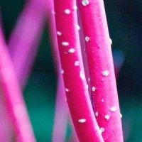Photography Workshops for Complete Beginners at Bar Des Arts