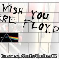 Pink floyd tribute ( wish you were floyd ) at THE MOORINGS BAR