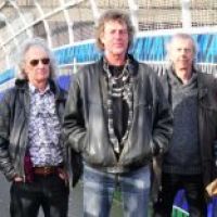 Pink Fairies at Brook, The