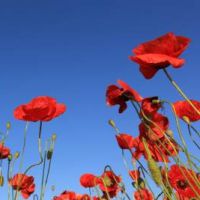 Music for Everyone-Karl Jenkins The Armed Man: a Mass for Peace at Albert Hall Nottingham