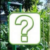 Gardeners Question Time evening at United Reformed Church Hall Pudsey