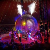 Gandey's Thrill Circus at Gandey's Big Top Stoke