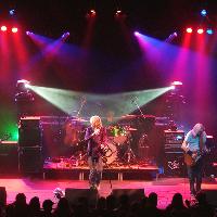 Whole Lotta Led: Led Zeppelin Tribute