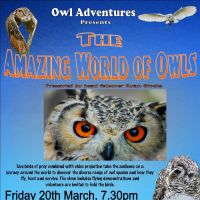 THE AMAZING WORLD OF OWLS UK TOUR IS COMING TO CARLISLE' at Sports Centre University Of Cumbria