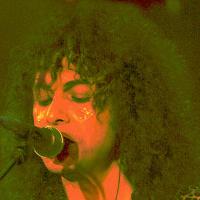 Too Rex: T Rex Tribute at Basildon Towngate Theatre